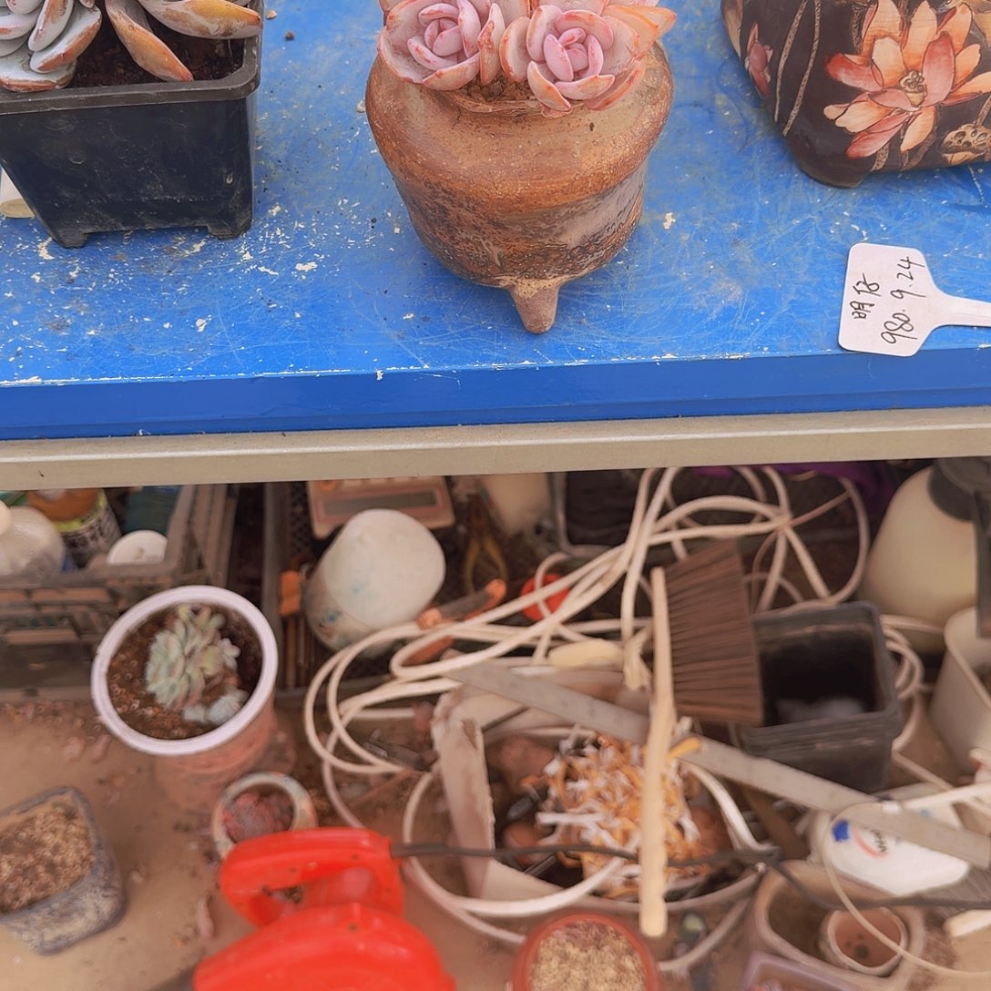 吟***月韩版奶茶啊啊啊啊