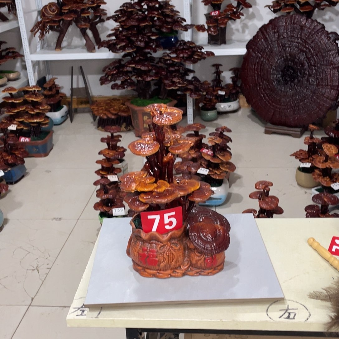 无花朵8888888888888