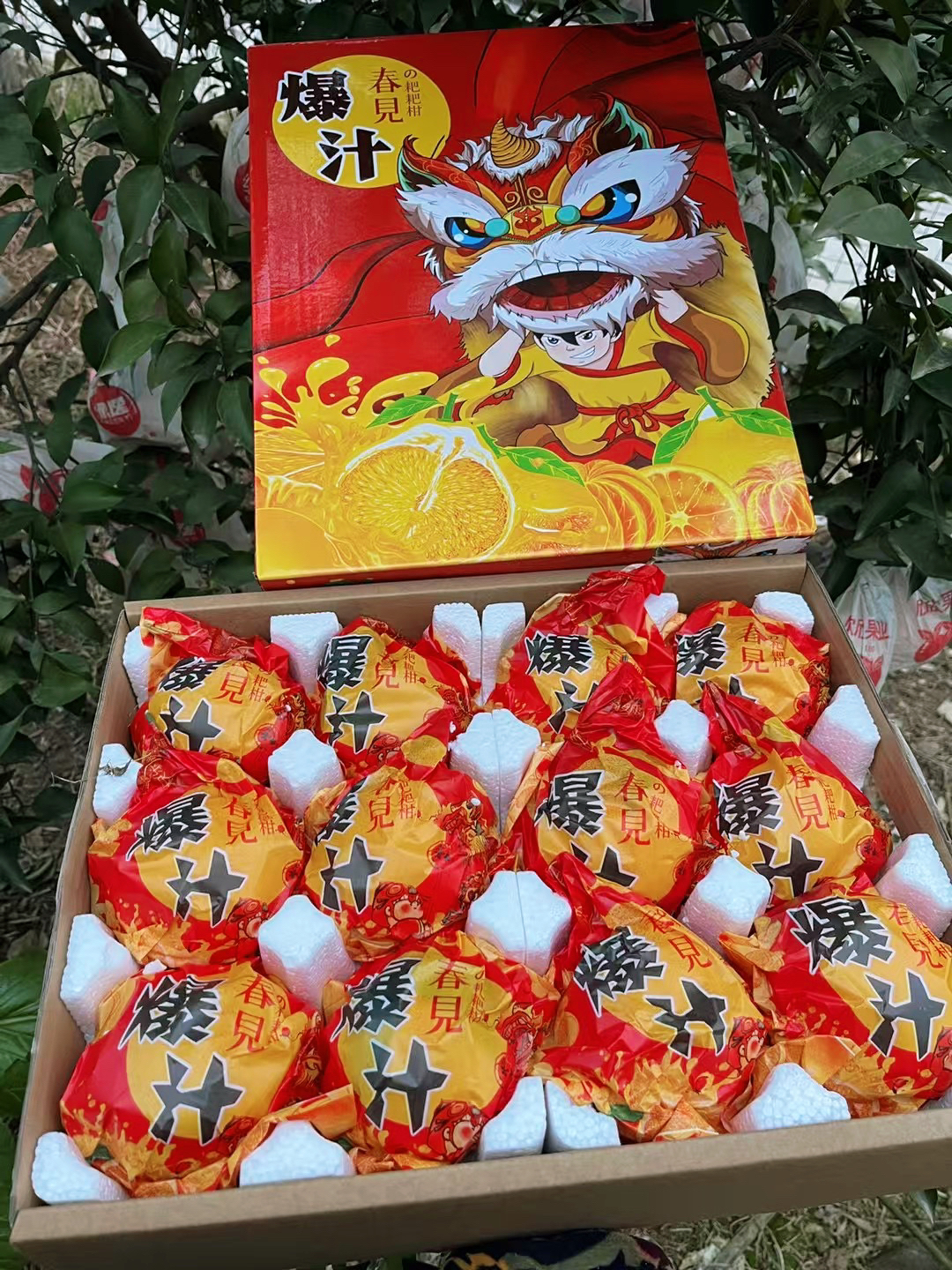 正宗春见耙耙柑新年礼盒手提款