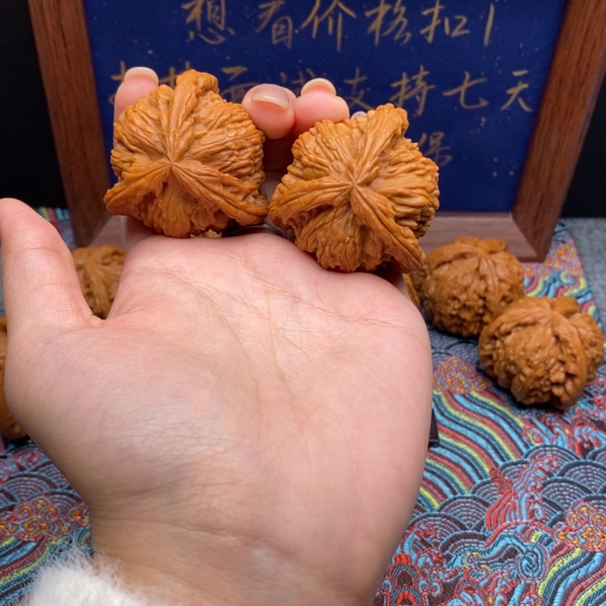 【闪购商品】健*白狮