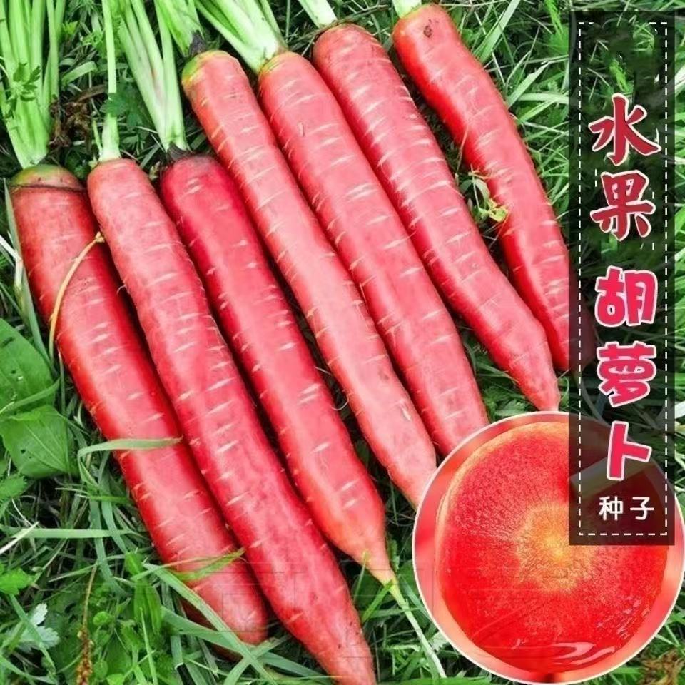 水果胡萝卜蔬菜种子