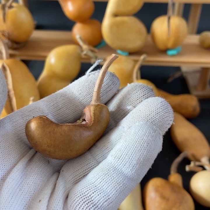 雾*i葫芦葫芦好可爱