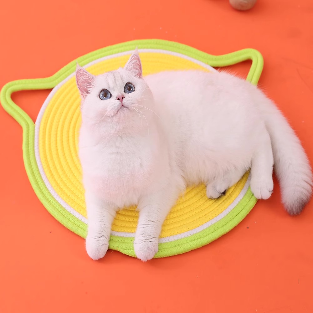 猫垫睡觉磨爪编织小垫子四季通用睡垫餐垫猫砂垫猫咪玩具