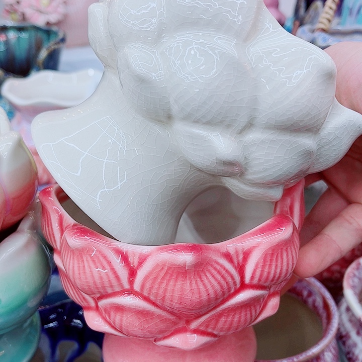 多肉植物陶瓷花盆