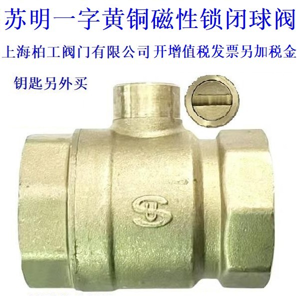 苏明一字水表前阀门自来水表前磁性带锁铜球阀暖气锁闭阀钥匙开关