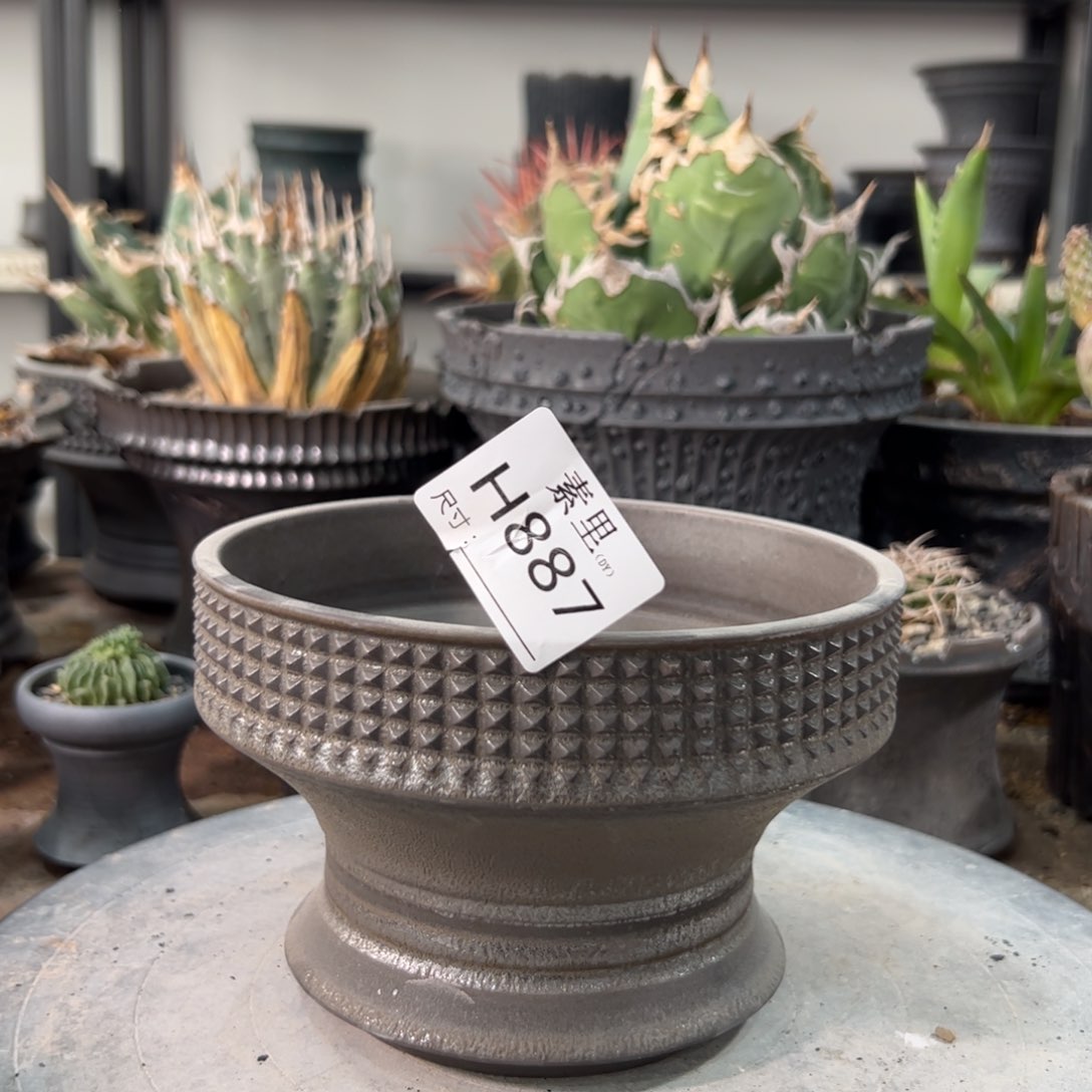 景德镇手工素里内口14.5高10