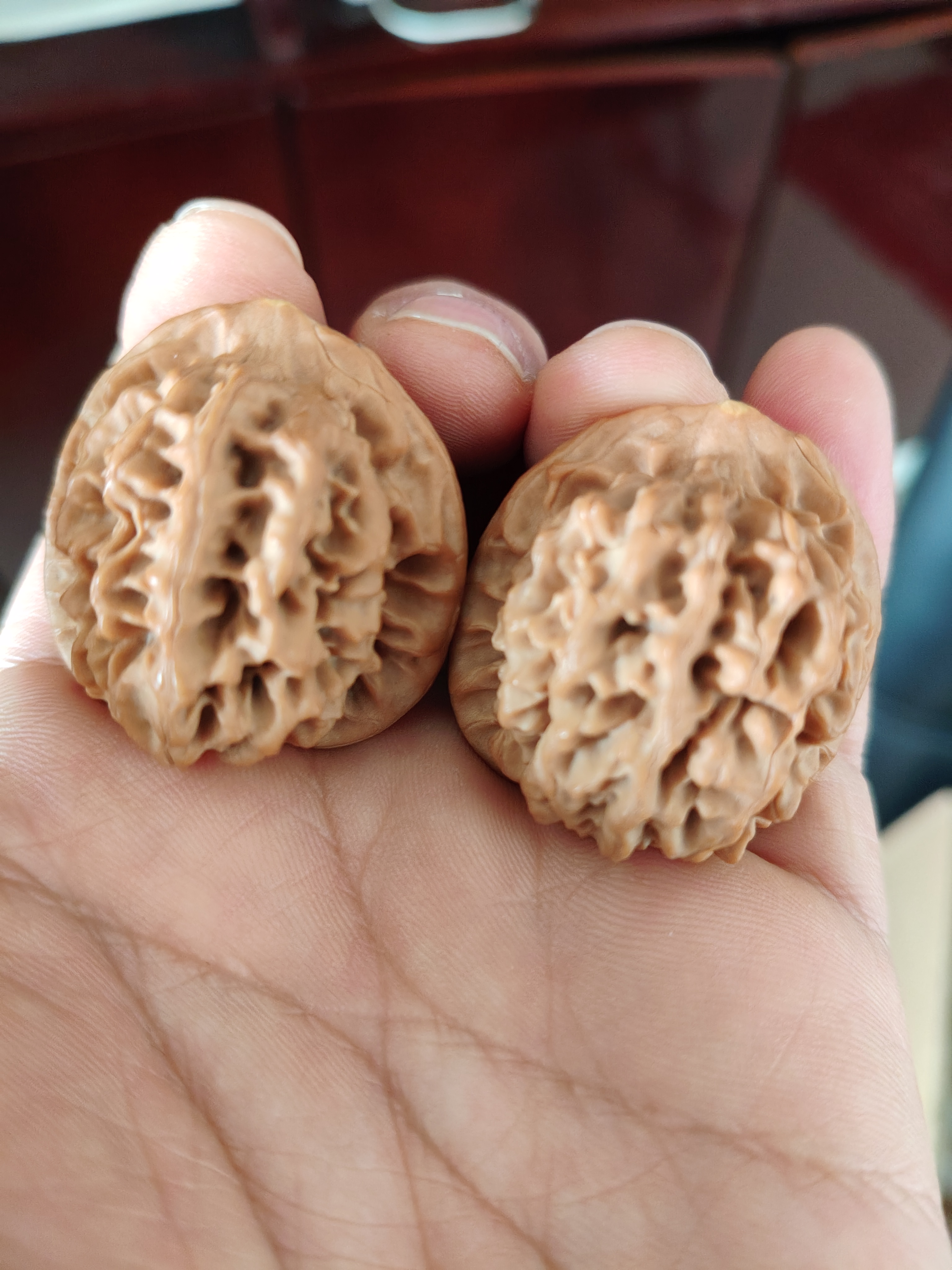 秦闷狮子头虚尖黄尖精品文玩核桃