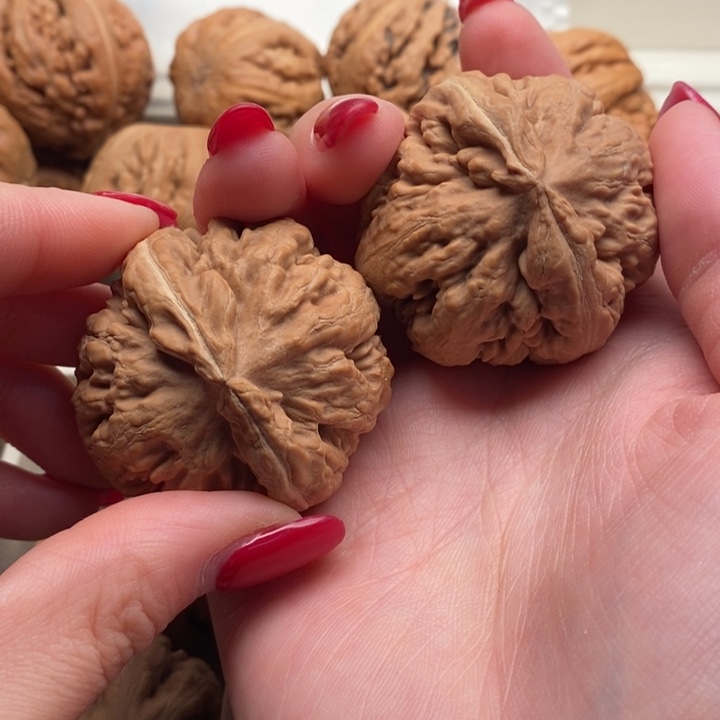 氷***文玩核桃把件霸王龙