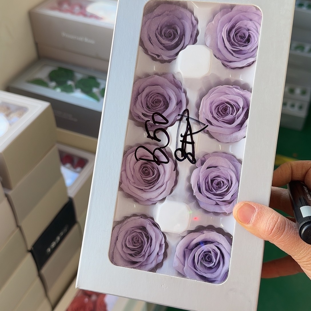 B50浅紫色8朵玫瑰