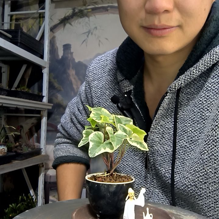 雪***中青园艺一物一拍花59