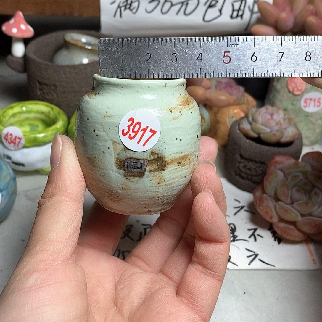 红陶拍5送一个小