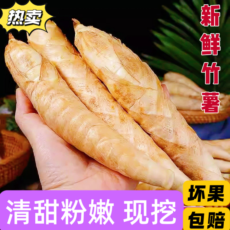 广东新鲜竹薯冬薯东京冬粉竹根自种现挖冬笋火锅煲汤凉粉竹芋食材