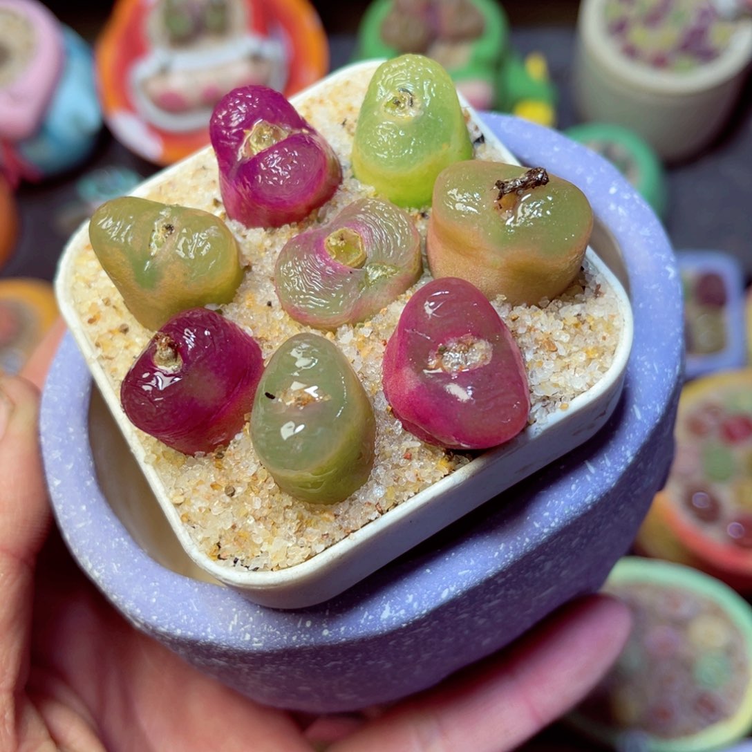 潇***烈11111111111111111