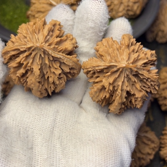 大***购文玩核桃把件秦岭核桃12