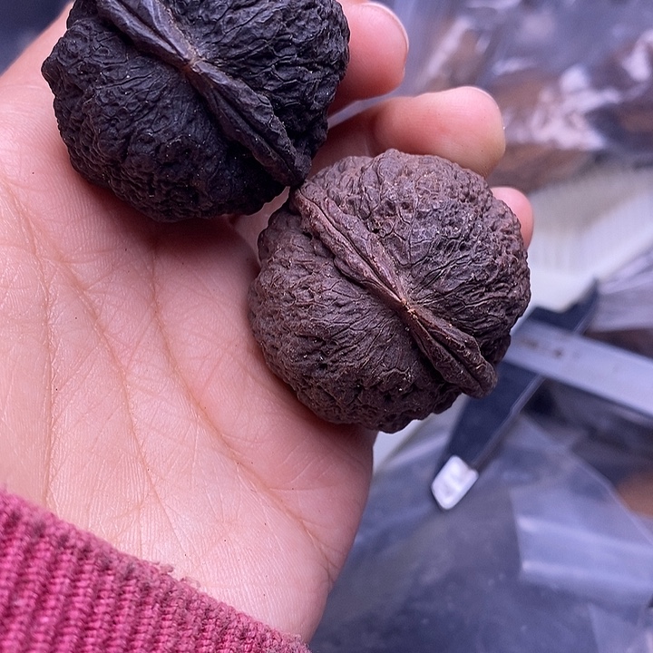 玲***子文玩核桃把件   247