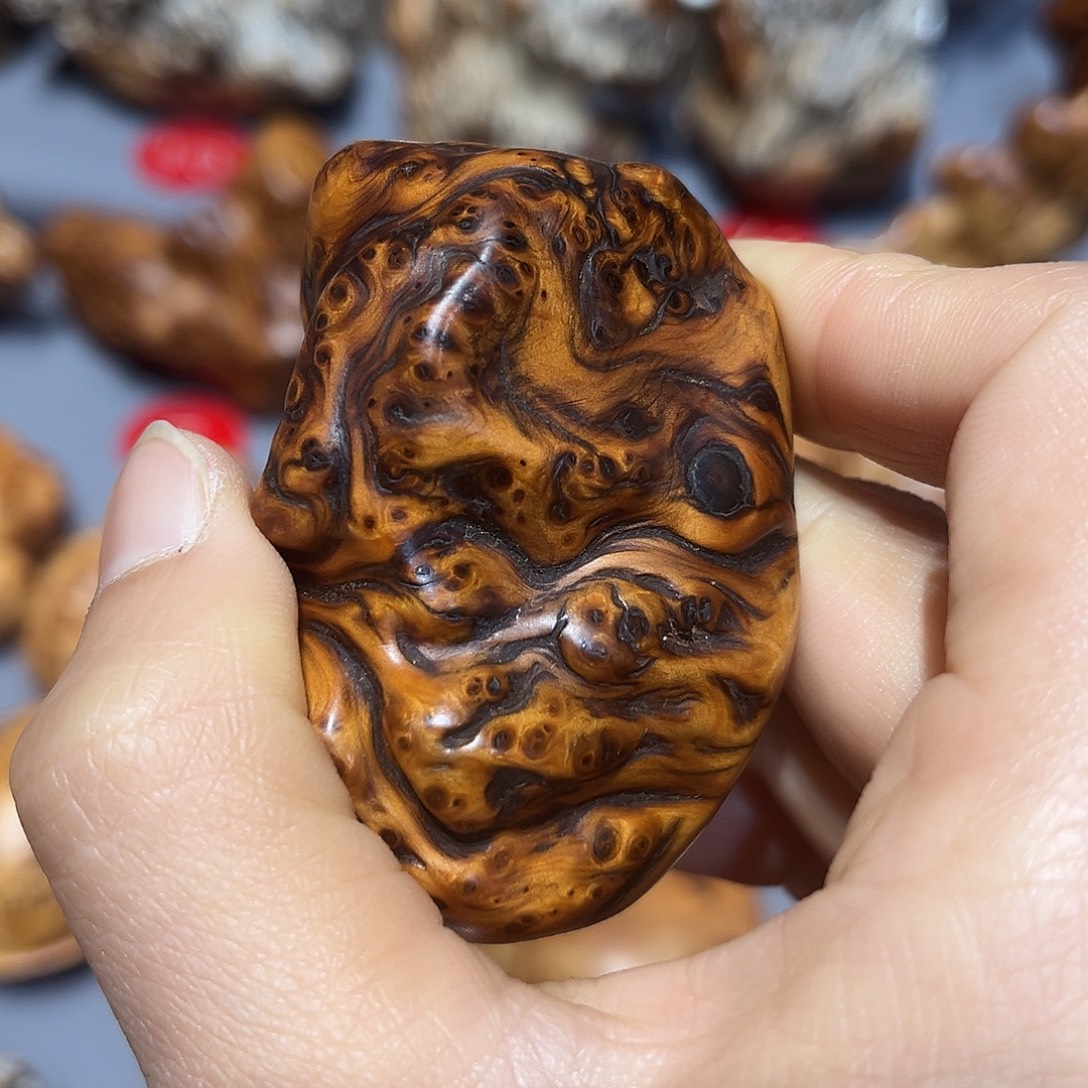 宾***！太行崖柏陈华手把玩