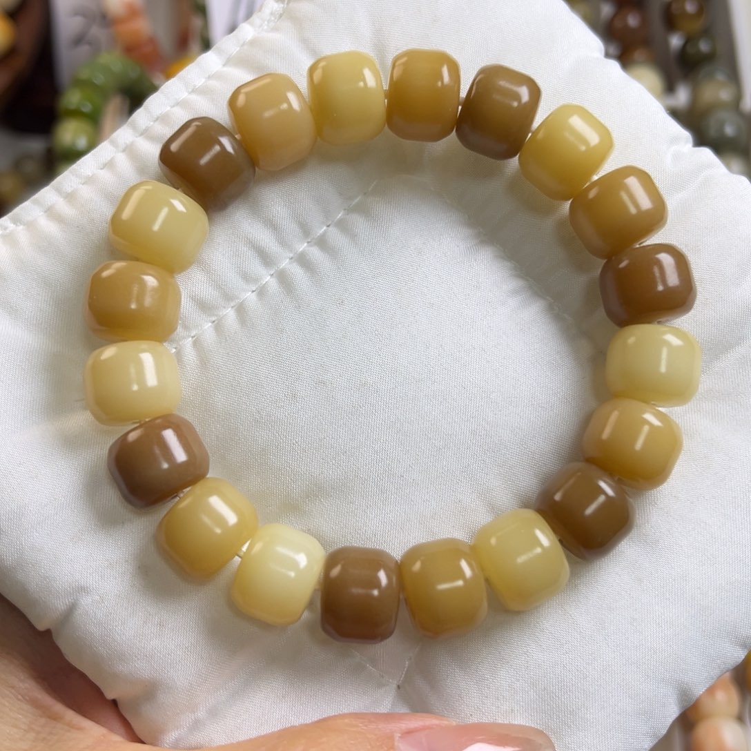 菩提根/象牙果手串半糖多宝13