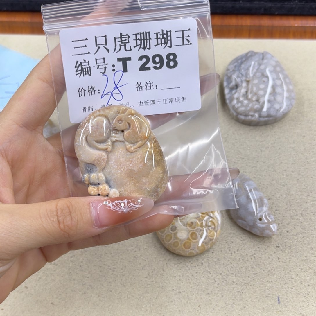 @***姥硅化珊瑚（珊瑚玉）h未镶嵌