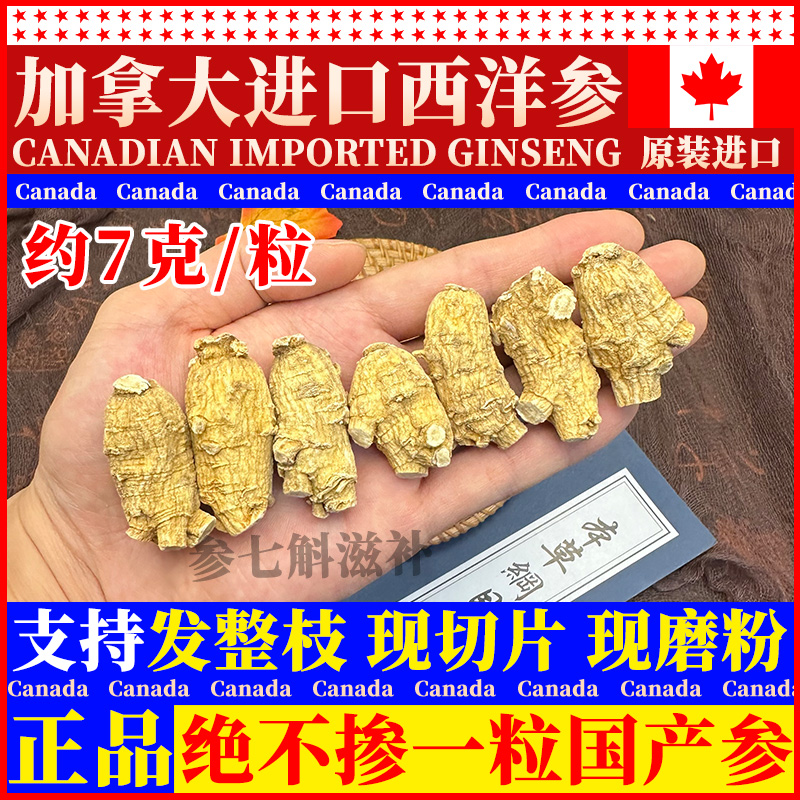 【7~8克/粒西洋参】正宗加拿大进口西洋参煮汤泡水现场切片磨粉