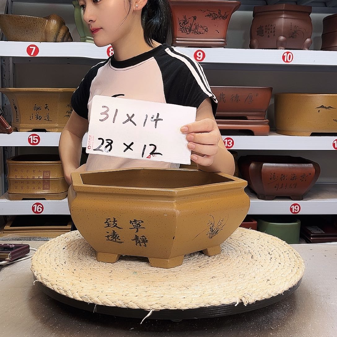 紫砂花盆紫砂花盆