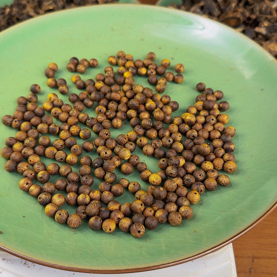 瞬****乌身原叶 0.7...36 克