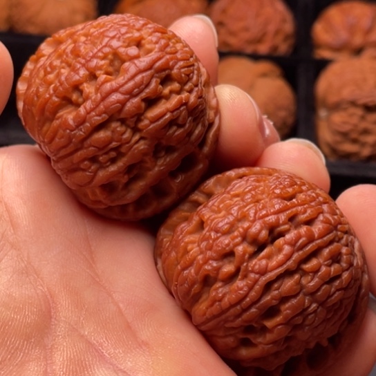 文玩核桃把件秦岭山脉核桃