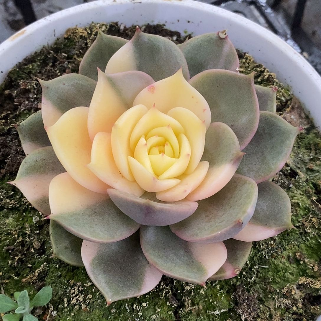 205贝加尔湖哈哈哈哈