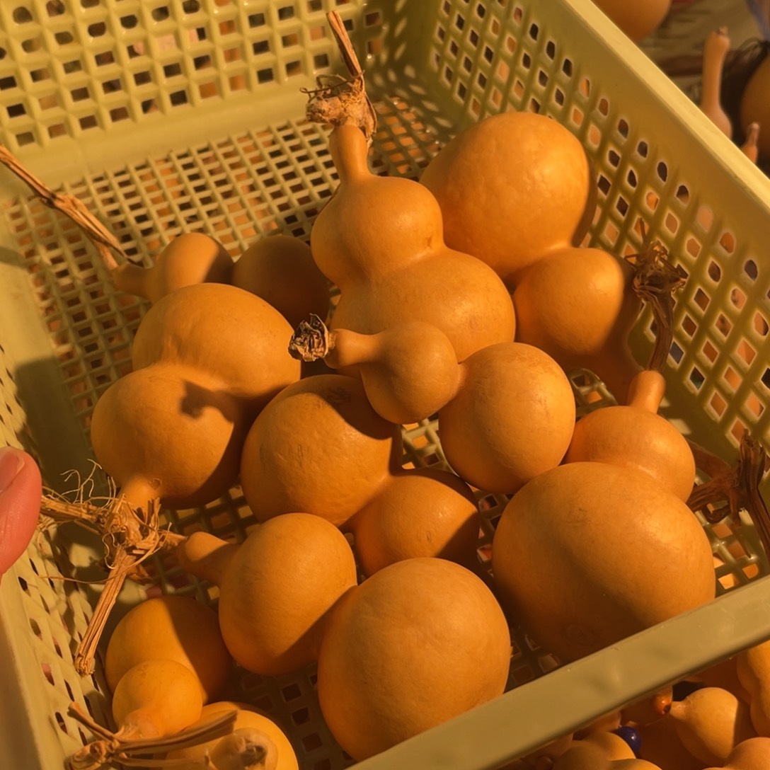 胜***哥葫芦已直播间为准