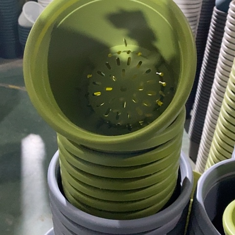 树脂四季1号果绿无托10个