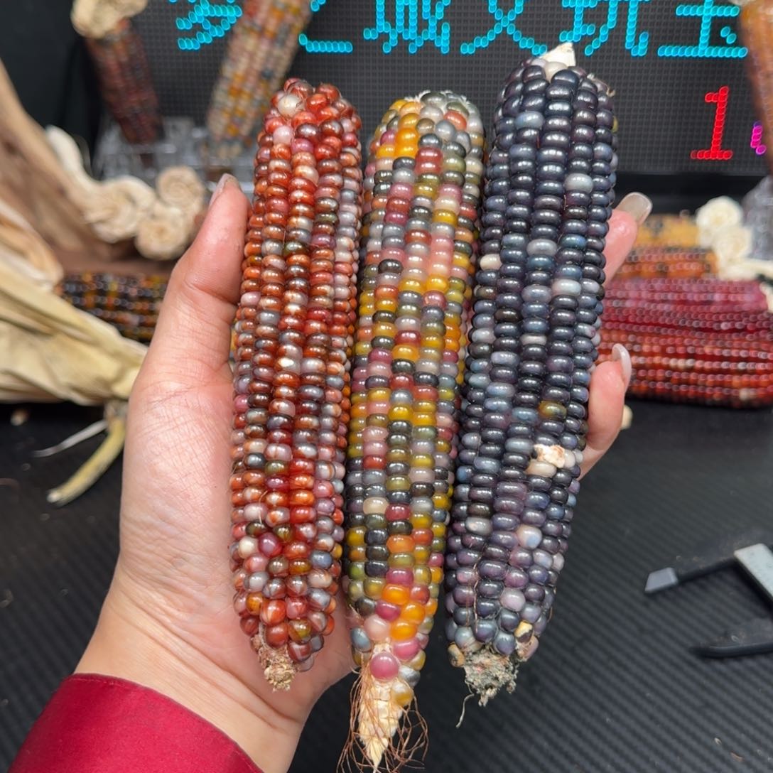 柏香籽/百香籽吊坠淮**七