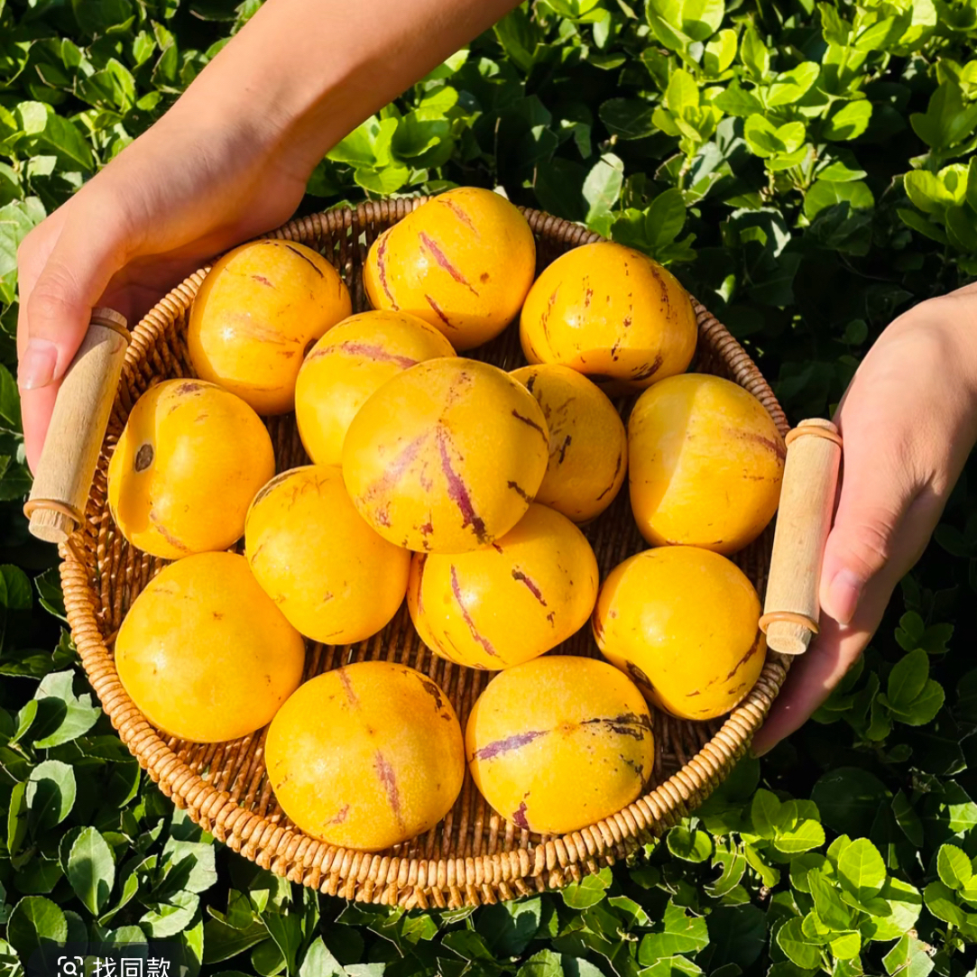 人参果.奶甜爆汁（3斤）