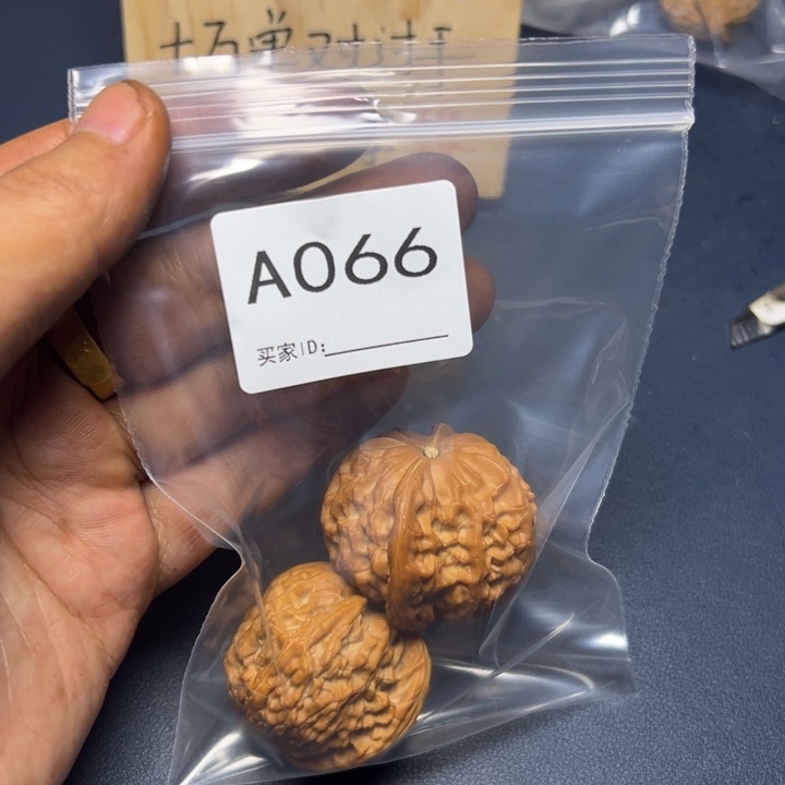 哈哈哈哈我的小可爱