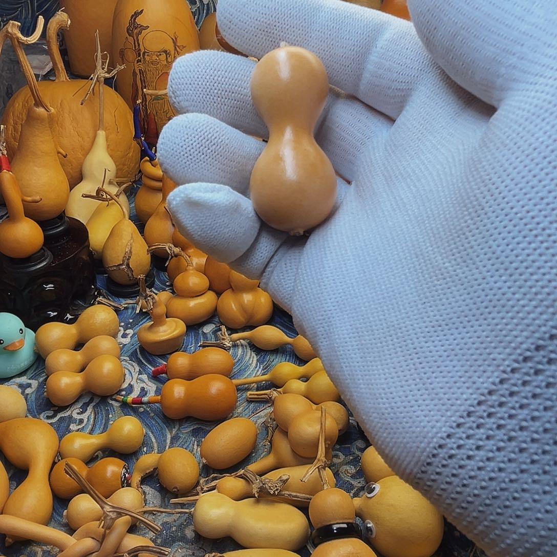 鱼***儿有机玻璃葫芦等多种颜色的花