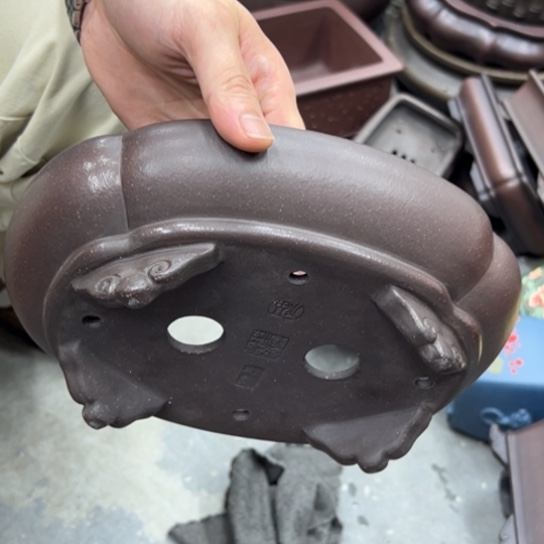 山***郭紫砂花盆中香气馥郁