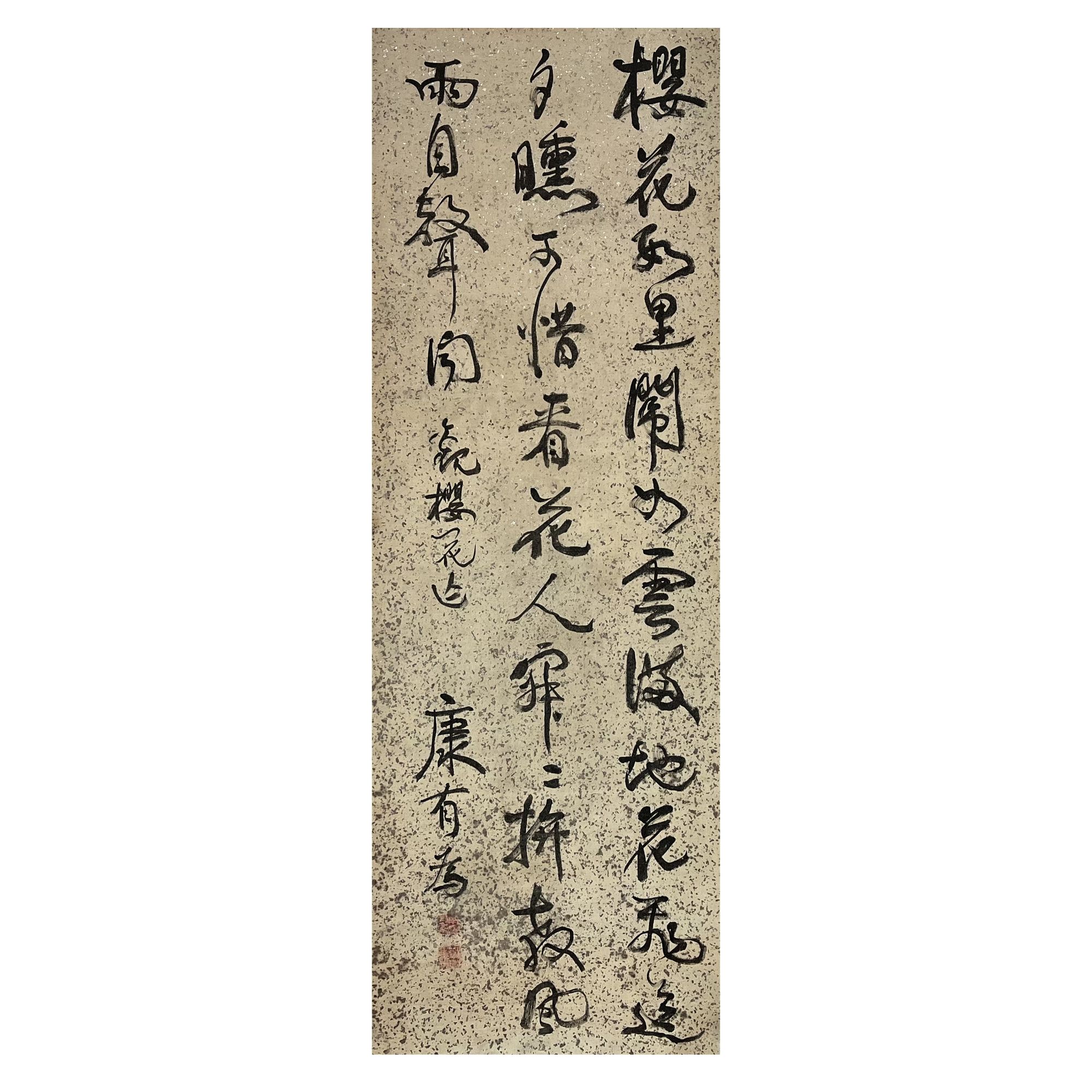 【辽拍】康先生-书法（9.1平尺）V240204-1-08