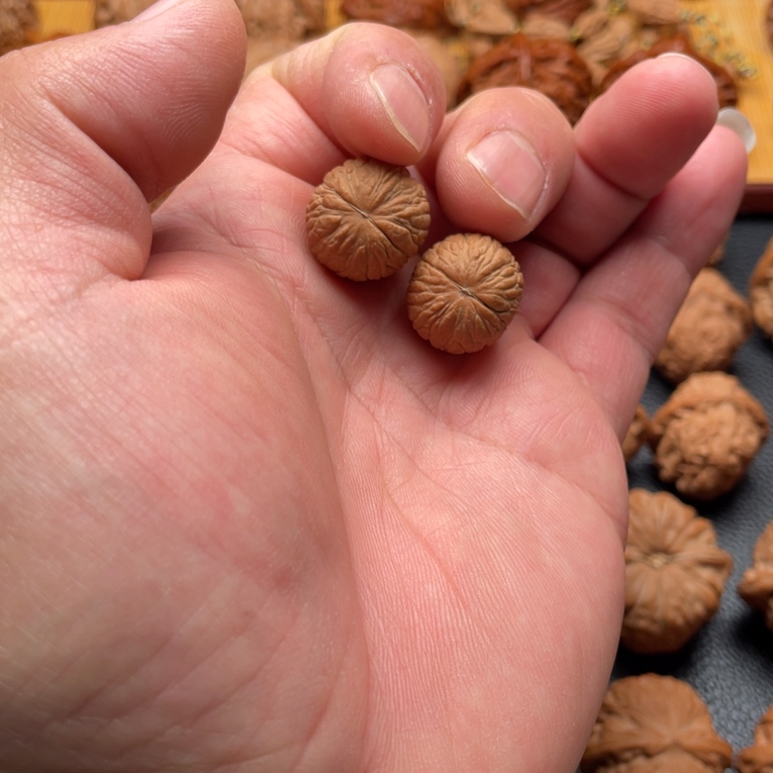 核桃鳳羽猴头小手捻