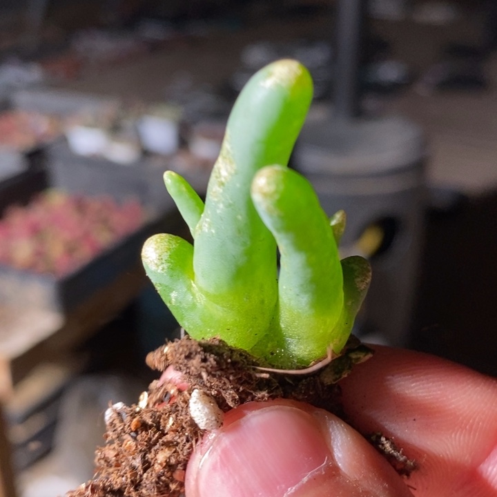 13213一个一个一个