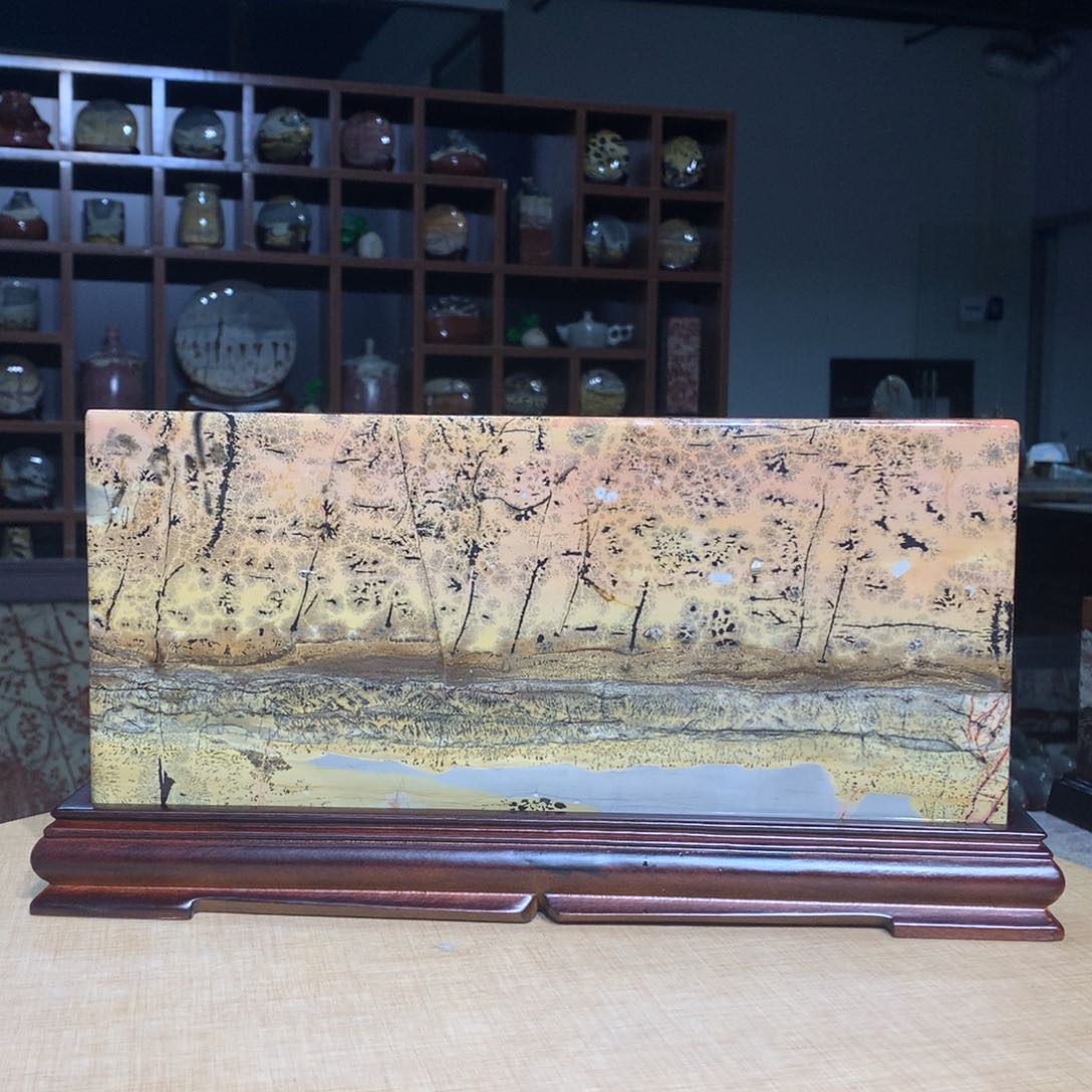 ，广西国画石，观赏