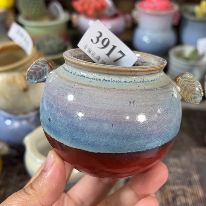 我5高6 未满30运费到付