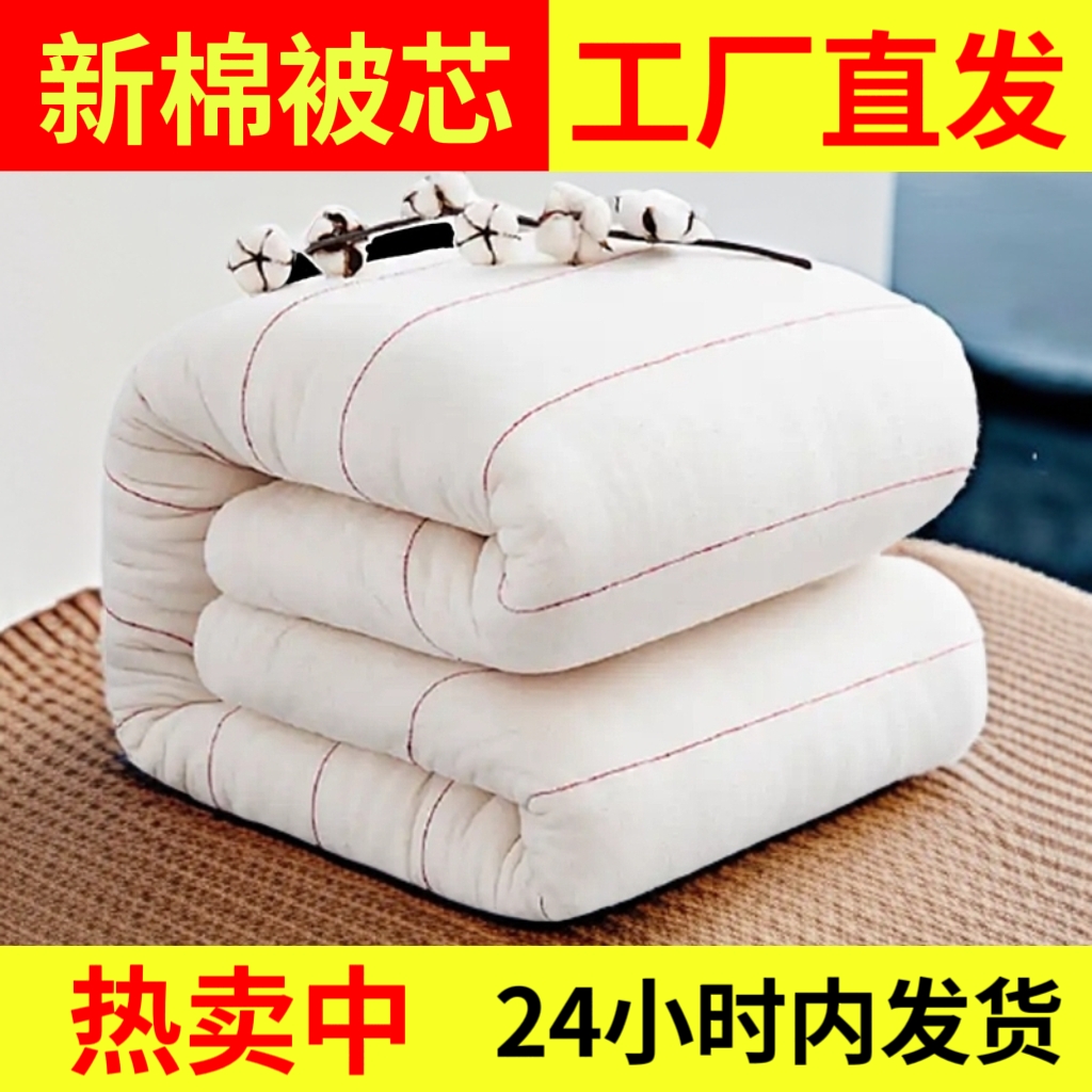 【直播专享】保暖学生宿舍居家被子内芯四季通用可垫可盖加厚保暖