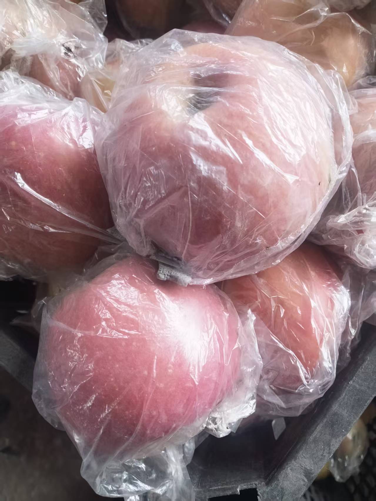 苹果新鲜采摘脆甜多汁当季水果