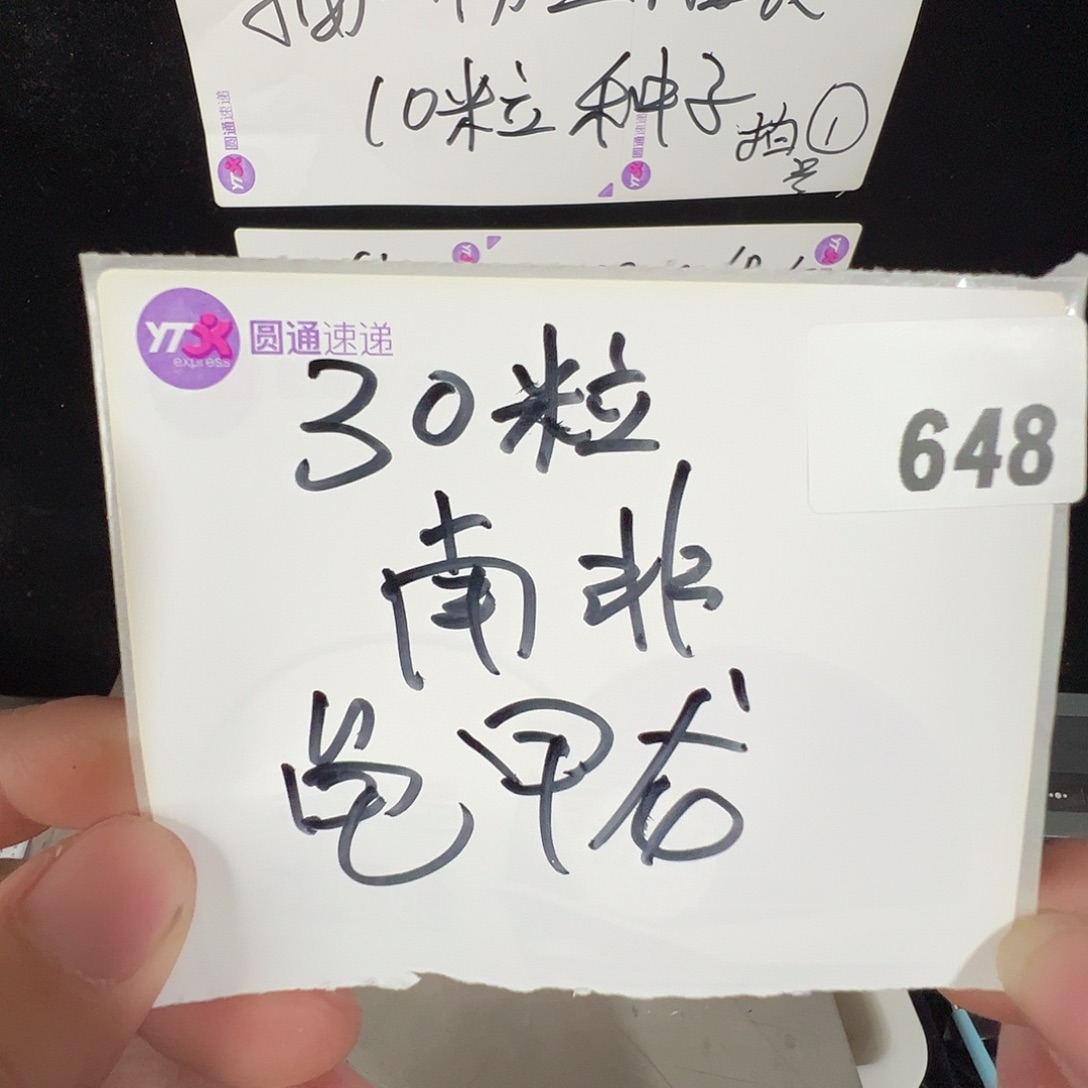 多肉植物专拍植物不退换 一物一拍 648