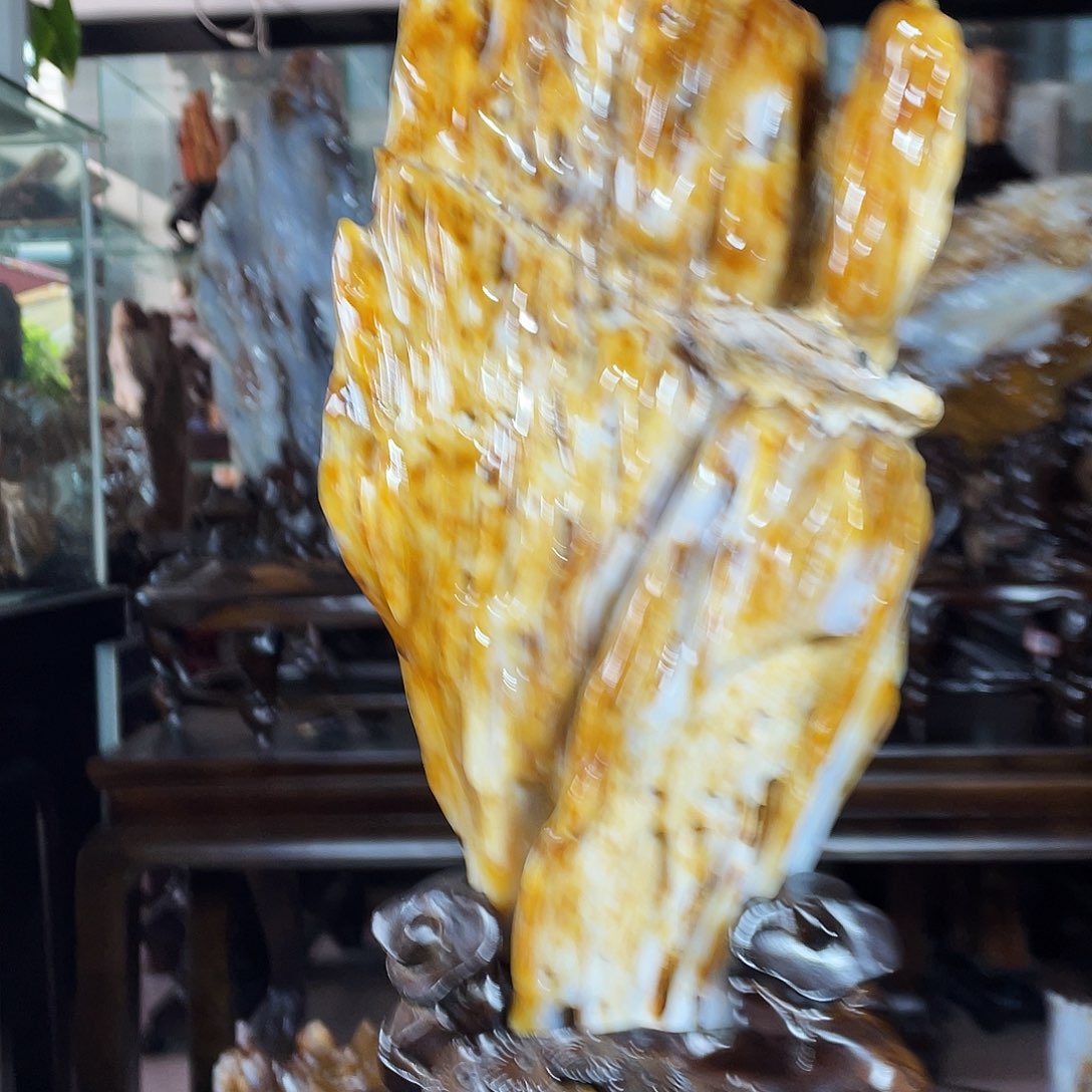 硅化玉未镶嵌珠宝奇石