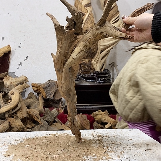 梧***雨柏木我们都是好孩子