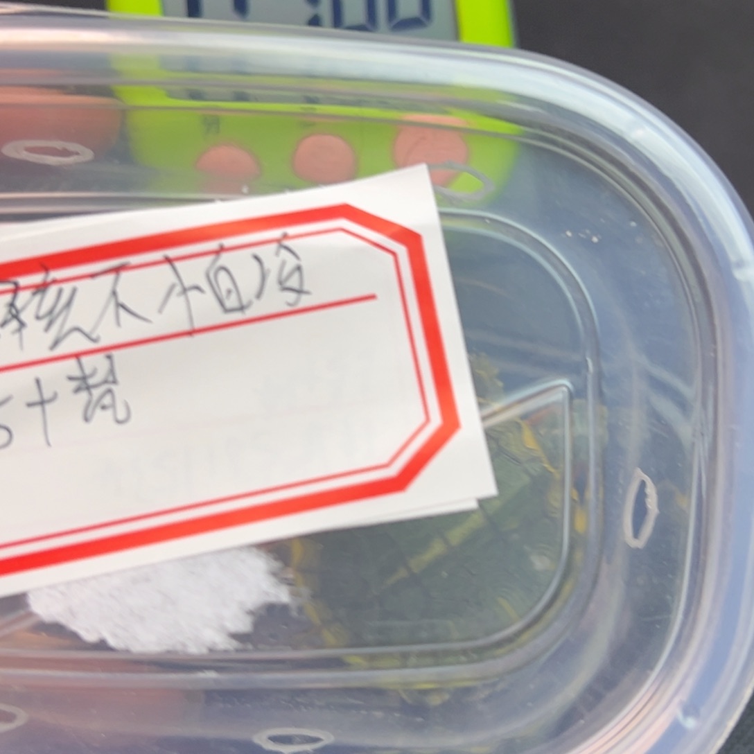 不分公母绿毛龟龟