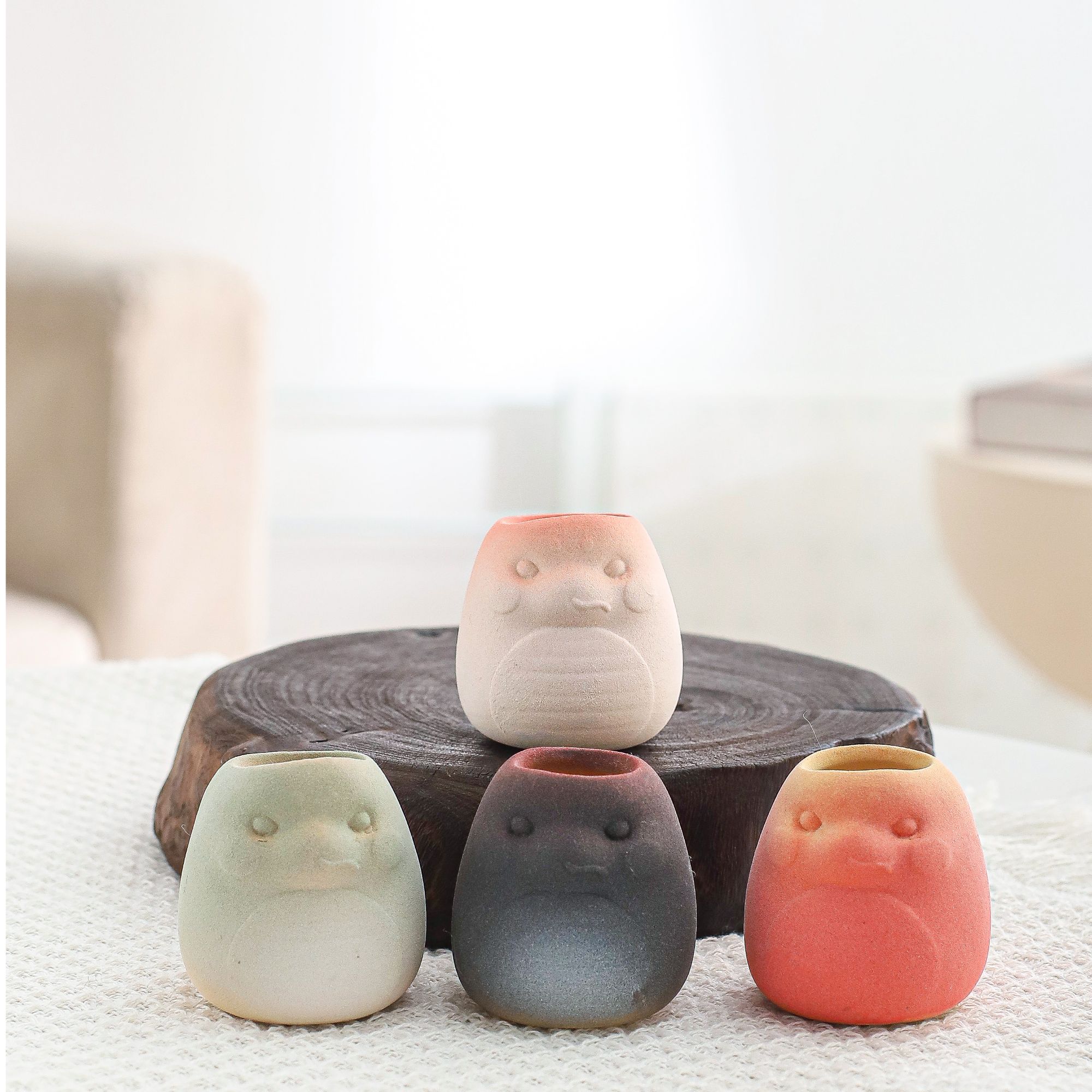 多肉花盆萌趣卡通可爱小蛇迷你家用麦饭石粗陶透气桌面花盆多肉