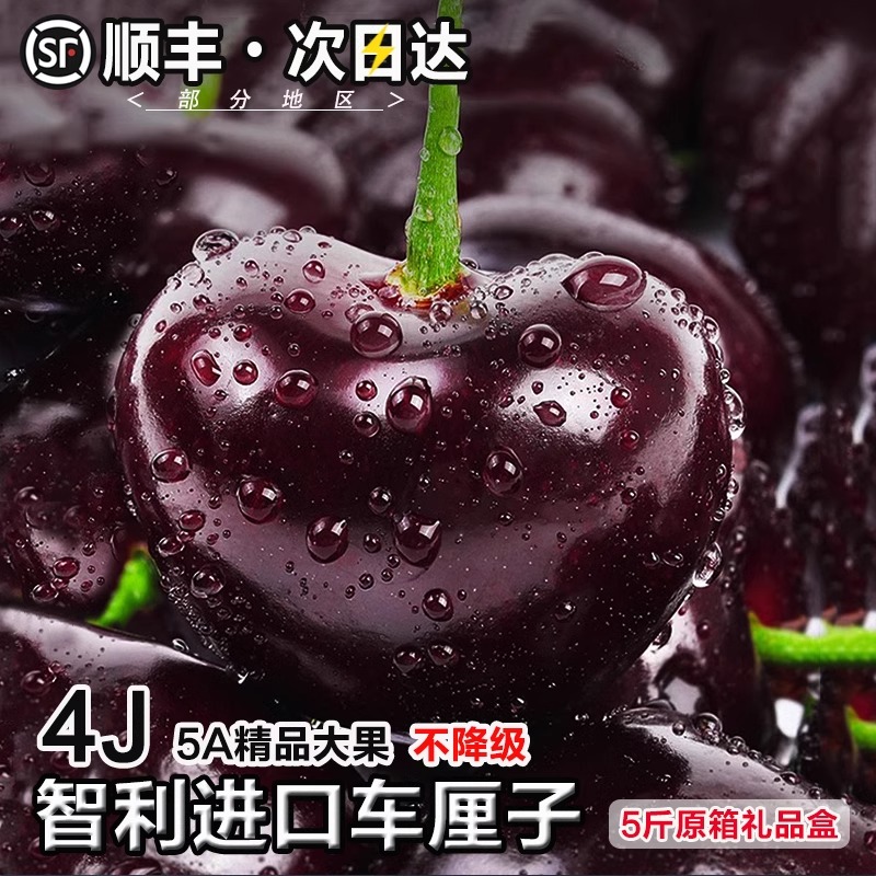 4JDD果王加大加黑【今天拍明天到】智利进口空运车厘子鲜头茬宝宝孕妇内附果径卡800g JZ桑提娜智利共和国