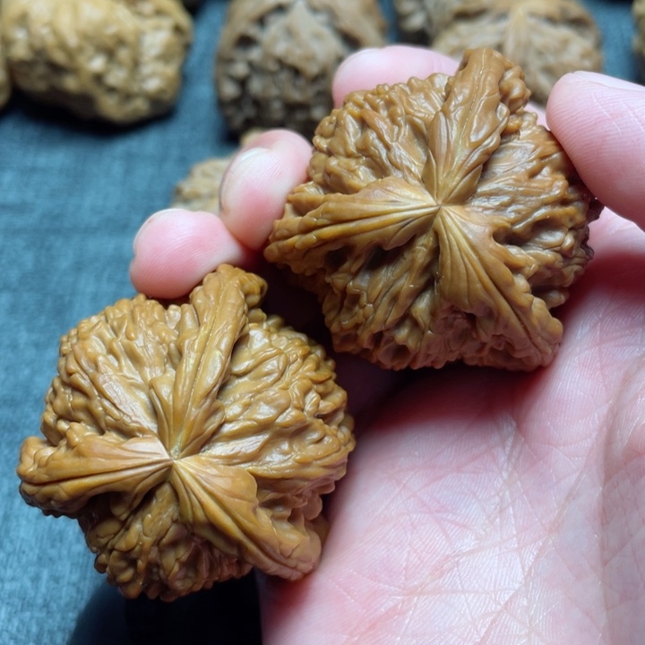 工艺三棱白狮子三棱