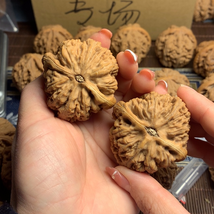 吊坠文玩核桃超*宝粗筋