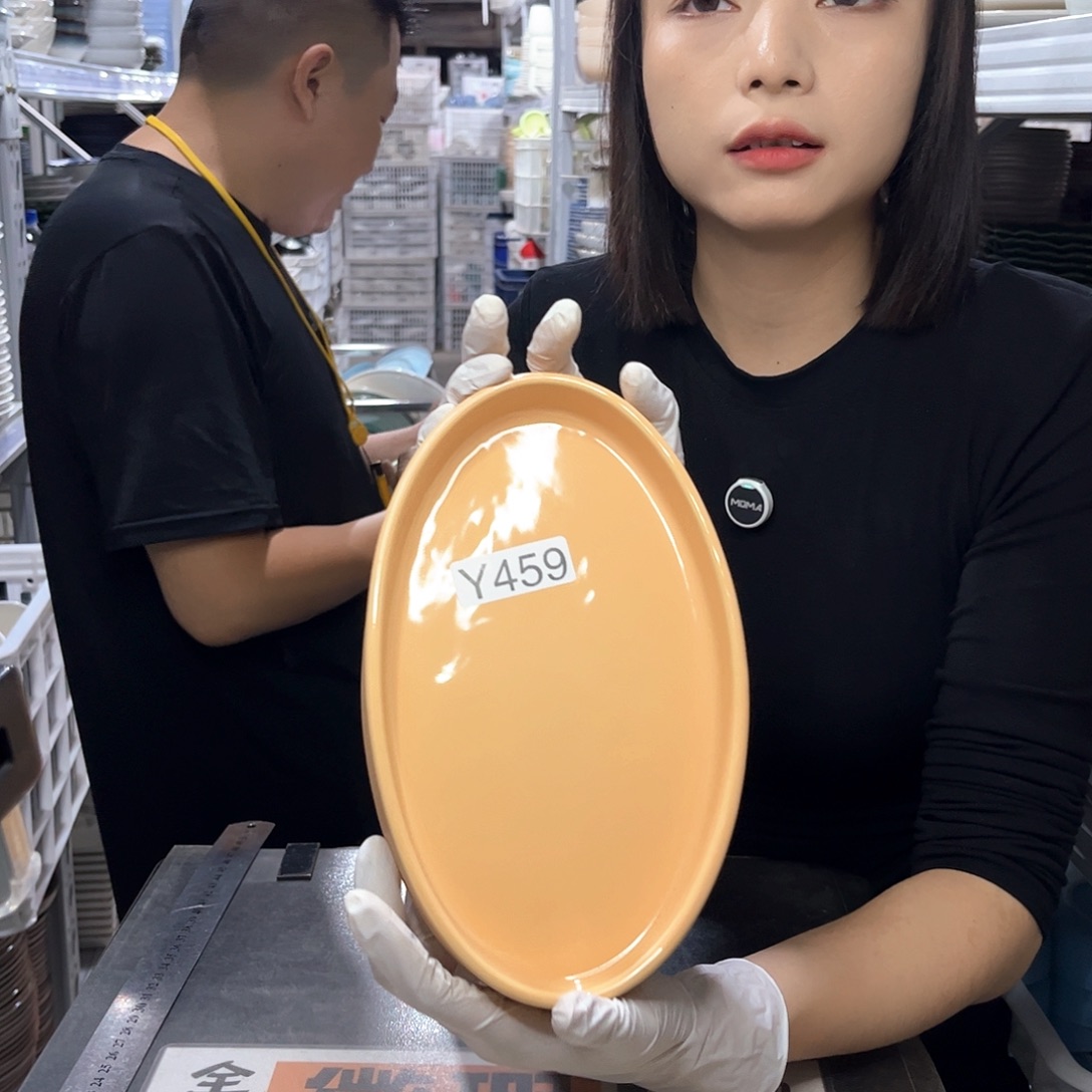 瓷片459                   2个